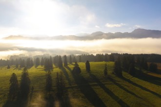 Green meadow in morning light, surrounded by fog and mountain skyline, near Füssen, Allgäu, Swabia,