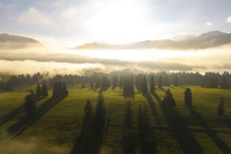 Foggy mountain landscape with long shadows on sunny meadow, near Füssen, Allgäu, Swabia, Bavaria,