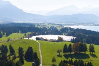 Wide landscape with green areas, Hegratsried Lake and mountains under clear sky, farm, near Füssen,