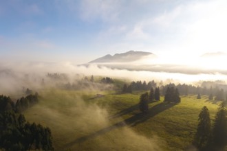 Landscape at sunrise with fog over a green meadow and mountains in the background, near Füssen,
