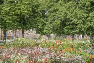 Flower bed, Karhupuisto Park, Kallio, Helsinki, Finland
