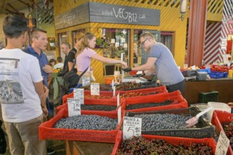 Blueberries, cherries and other fruits, Baltic Station market, Balti Jaama Turg, Kalamaja, Tallinn,