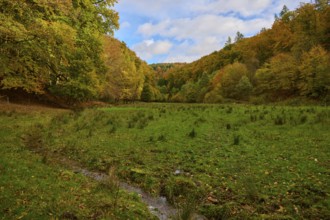 Green meadow in a valley lined with autumn trees under a blue sky, autumn, Spessart, Bavaria,