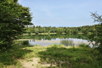 Scenic view of Waldsee forest lake in Viernheim, Germany on a sunny day surrounded by nature