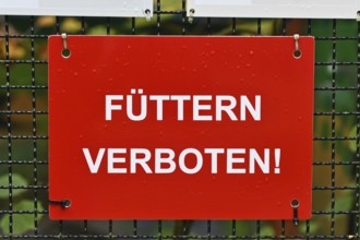 German Do not feed sign at zoo or animal enclosure, warning for visitors and wildlife protection