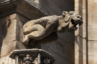 Gargoyles at City Hall on Grand Place, Brussels, Belgium