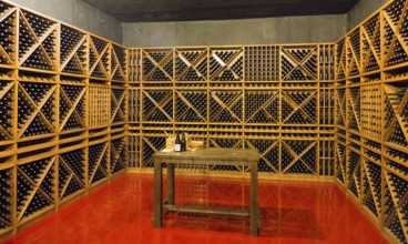 Empty minimalistic wine cellar with wine bottle racks and a table, Hin Areni Winery, Areni Village,