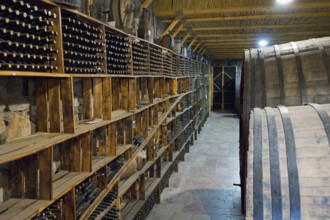 A wine cellar with wooden shelves and large barrels conveys a rustic atmosphere, Hin Areni Winery,