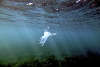 A piece of plastic is floating under the surface of the Mediterranean, Majorca, balearics, spain