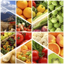 Food collage of various biological and organic fruits and vegetables, fresh healthy lifestyle, with