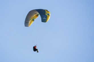 A paraglider floats under a colorful sail in clear blue sky, Schwangau, Ostallgäu, Allgäu, Swabia,