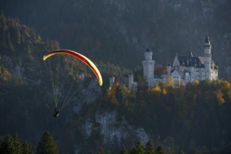 Paragliders in front of Neuschwanstein Castle, surrounded by autumn forests and majestic mountains,