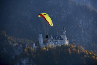 A paraglider flies in front of Neuschwanstein Castle in an autumn landscape, Schwangau, Ostallgäu,