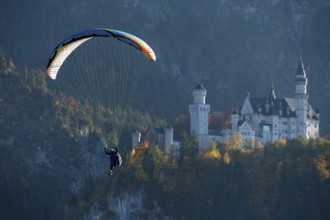 Paragliders in the air off Neuschwanstein, surrounded by autumn forests and mountains, Schwangau,