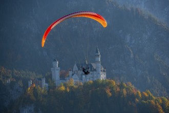 Paraglider flies off Neuschwanstein, nestled in an autumn mountain landscape, Schwangau, Ostallgäu,