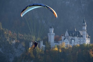 Paraglider floating in front of picturesque Neuschwanstein Castle in autumn scenery, Schwangau,
