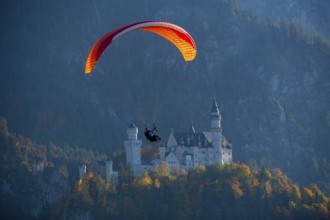 Paraglider flies in front of Neuschwanstein Castle, surrounded by autumn colors and thick forests,