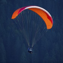 A paraglider soars high in the air with a bright red umbrella, Schwangau, Ostallgäu, Allgäu,
