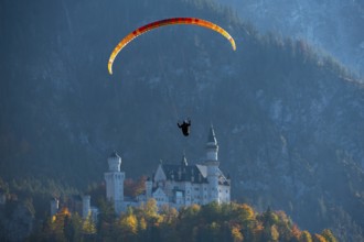 A paraglider in front of Neuschwanstein Castle, surrounded by mountains, Schwangau, Ostallgäu,