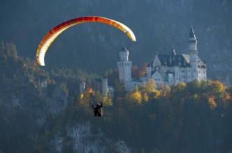 A paraglider floats next to Neuschwanstein Castle in the midst of an autumn landscape, Schwangau,