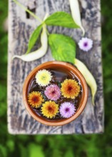 Bright chrysanthemum flowers in shades of yellow, orange and pink in a clay bowl with water. Placed