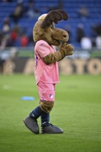 Mascot Hoffie TSG 1899 Hoffenheim in the shirt of TSG 1899 Hoffenheim, special shirt, action