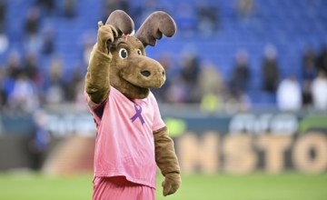 Mascot Hoffie TSG 1899 Hoffenheim in the shirt of TSG 1899 Hoffenheim, special shirt, action