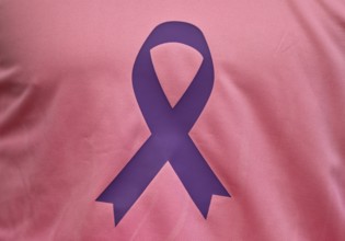 TSG 1899 Hoffenheim logo on jersey, special shirt, campaign against breast cancer, breast cancer