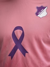 TSG 1899 Hoffenheim logo on jersey, special shirt, campaign against breast cancer, breast cancer