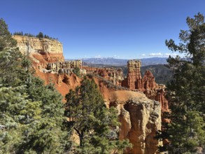 Red cliffs and thick forests stretch to the horizon under deep blue skies, Bryce Canyon National