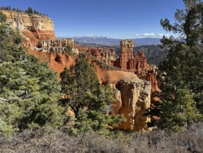 Snowy conifers and impressive red cliffs under a clear blue sky, Bryce Canyon National Park is