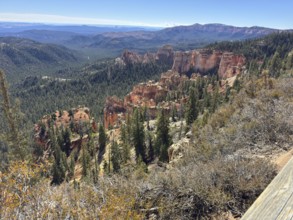 Red rock canyon with pine trees stretching out in nature under a clear sky, Bryce Canyon National