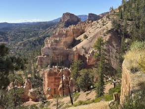 Breathtaking rock formations and pine trees in a vast desert landscape under clear skies, Bryce