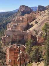 Dramatic rock formations of orange sandstone with pine trees in a vast desert landscape, Bryce