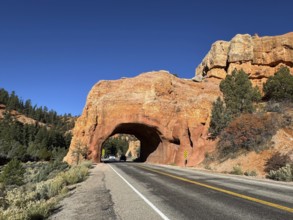Red sandstone rock arch with a road leading through, in a vast desert landscape, Bryce Canyon