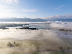Wide view with fog over Lake Forggensee and rolling hills, near Roßhaupten, Ostallgäu, Allgäu,