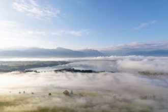 Morning atmosphere with clouds of fog over a pasture landscape and Forggensee near Roßhaupten,