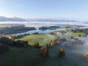 Early autumn morning landscape with idyllic Forggensee and picturesque hills surrounded by fog,