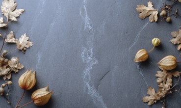 A black background with a bunch of leaves and flowers. The leaves are brown and the flowers are