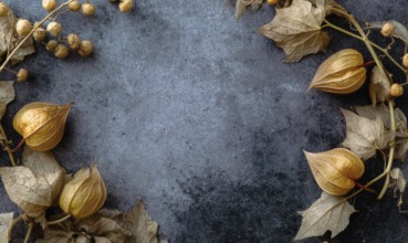 A close up of a leafy plant with a few yellow flowers. The flowers are surrounded by leaves and the