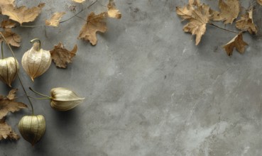 A grey background with a bunch of leaves on it. The leaves are brown and scattered around the