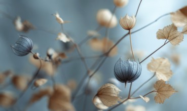 A close up of a branch with flowers and leaves. The flowers are blue and the leaves are brown. The
