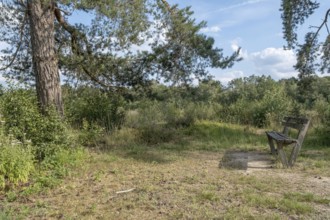 Haaksbergerveen Nature Reserve, Oberjissel Province, Haaksbergen, Netherlands