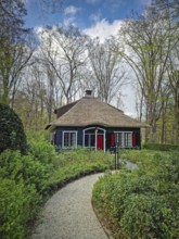 A winding paved path slopes down through the forest leading towards a rustic house nestled in the