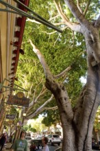 San Luis Obispo, a city in San Luis Obispo County in the U.S. state of California with 47, 063