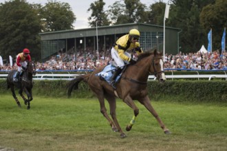 WROCLAW, POLAND - SEPTEMBER 4, 2016: Horse racing - Grand Wroclawska Prize Airport Wroclaw. In