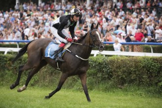WROCLAW, POLAND - SEPTEMBER 4, 2016: Horse racing - Grand Wroclawska Prize Airport Wroclaw. In