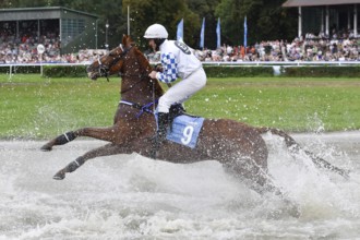 WROCLAW, POLAND - SEPTEMBER 4, 2016: Horse racing - Grand Wroclawska Prize Airport Wroclaw. In