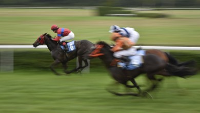 WROCLAW, POLAND - SEPTEMBER 4, 2016: Race for the 3-year and older horses Group IV Racecourse WTWK