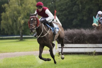 WROCLAW, POLAND - SEPTEMBER 4, 2016: Horse racing Grand Partynicka at Racecourse WTWK Partynice. In
